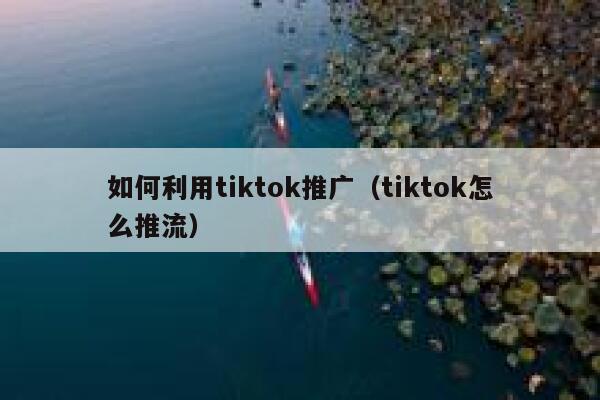 如何利用tiktok推广（tiktok怎么推流） 第1张