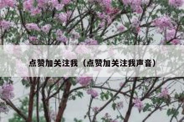 点赞加关注我(点赞加关注我声音) 第1张 点赞加关注我(点赞加关注我声音) 第1张