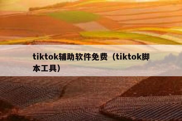 tiktok辅助软件免费（tiktok脚本工具） 第1张