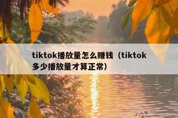 tiktok播放量怎么赚钱（tiktok多少播放量才算正常） 第1张