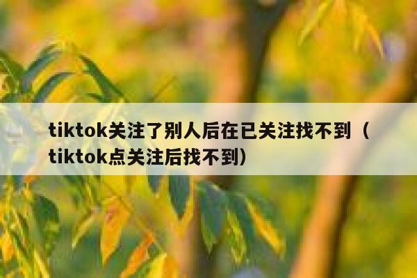 tiktok关注了别人后在已关注找不到(tiktok点关注后找不到) 第1张 tiktok关注了别人后在已关注找不到(tiktok点关注后找不到) 第1张