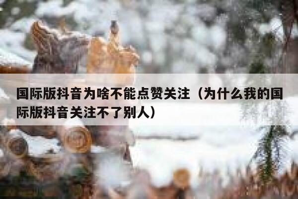 国际版抖音为啥不能点赞关注(为什么我的国际版抖音关注不了别人) 第1张 国际版抖音为啥不能点赞关注(为什么我的国际版抖音关注不了别人) 第1张
