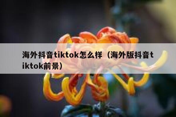 海外抖音tiktok怎么样（海外版抖音tiktok前景） 第1张