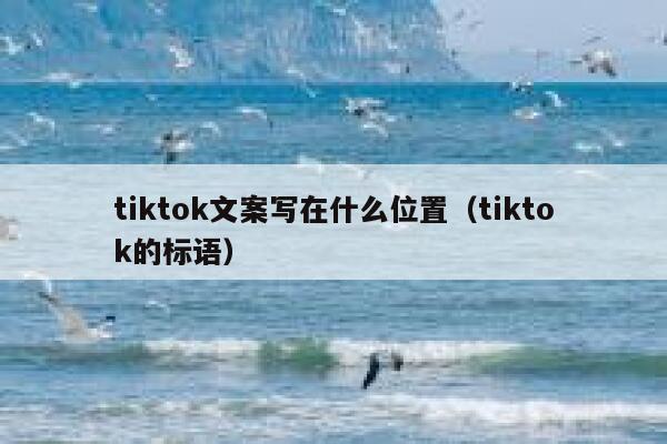 tiktok文案写在什么位置（tiktok的标语） 第1张