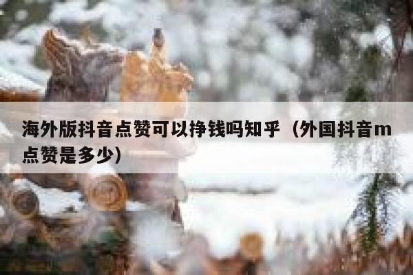 海外版抖音点赞可以挣钱吗知乎（外国抖音m点赞是多少） 第1张