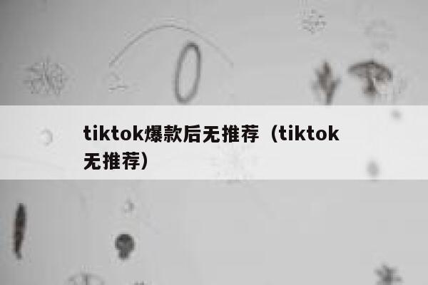 tiktok爆款后无推荐（tiktok 无推荐） 第1张