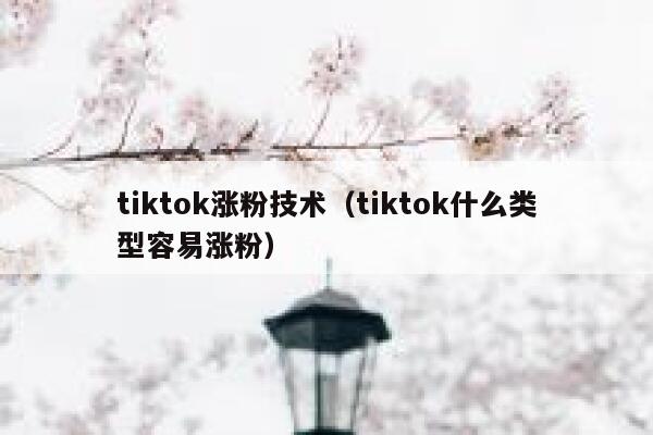 tiktok涨粉技术（tiktok什么类型容易涨粉） 第1张