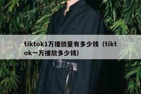 tiktok1万播放量有多少钱（tiktok一万播放多少钱） 第1张