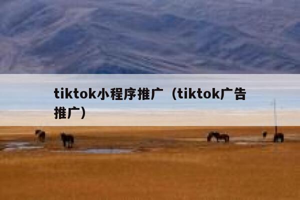 tiktok小程序推广(tiktok广告推广) 第1张 tiktok小程序推广(tiktok广告推广) 第1张