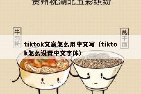 tiktok文案怎么用中文写(tiktok怎么设置中文字体) 第1张 tiktok文案怎么用中文写(tiktok怎么设置中文字体) 第1张