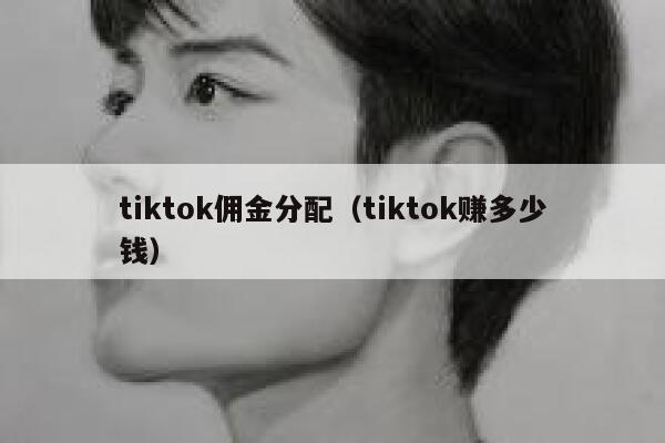 tiktok佣金分配(tiktok赚多少钱) 第1张 tiktok佣金分配(tiktok赚多少钱) 第1张