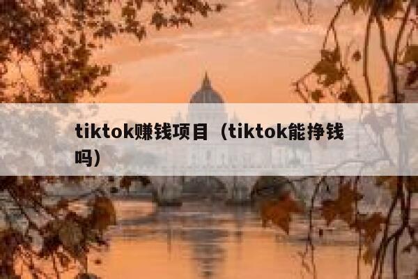 tiktok赚钱项目(tiktok能挣钱吗) 第1张 tiktok赚钱项目(tiktok能挣钱吗) 第1张