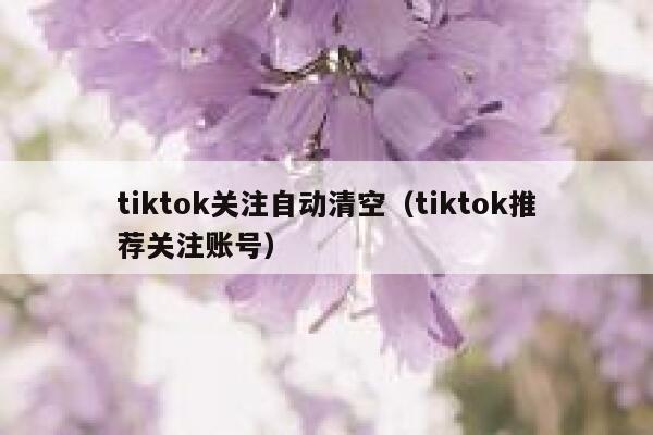 tiktok关注自动清空（tiktok推荐关注账号） 第1张