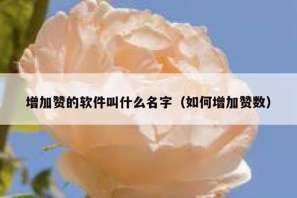 增加赞的软件叫什么名字（如何增加赞数） 第1张