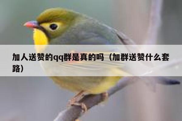 加人送赞的qq群是真的吗（加群送赞什么套路） 第1张