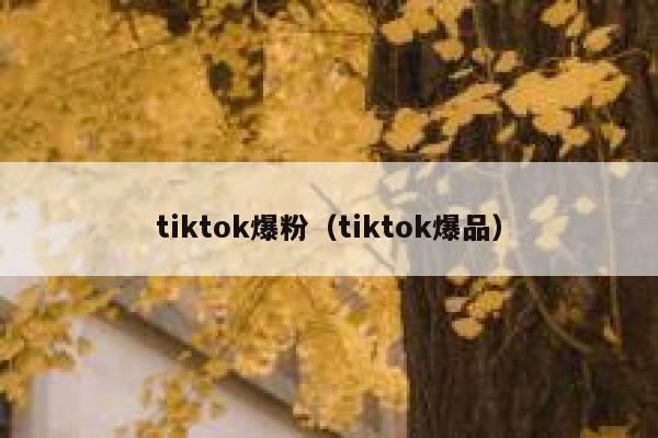 tiktok爆粉（tiktok爆品） 第1张