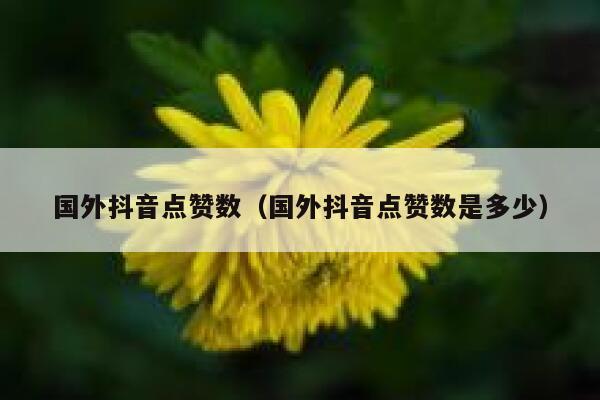 国外抖音点赞数（国外抖音点赞数是多少） 第1张