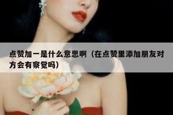 点赞加一是什么意思啊（在点赞里添加朋友对方会有察觉吗） 第1张