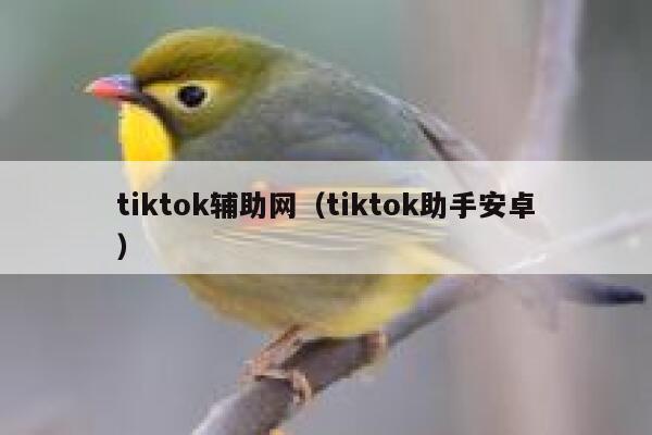 tiktok辅助网（tiktok助手安卓） 第1张