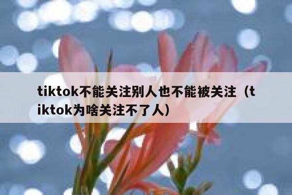 tiktok不能关注别人也不能被关注（tiktok为啥关注不了人） 第1张