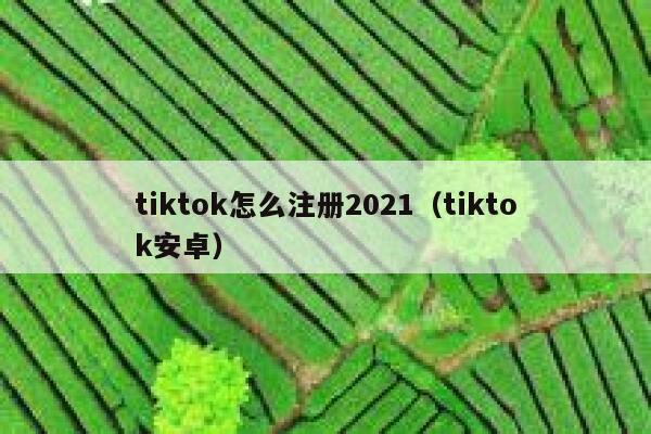 tiktok怎么注册2021(tiktok安卓) 第1张 tiktok怎么注册2021(tiktok安卓) 第1张