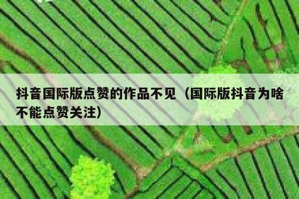 抖音国际版点赞的作品不见（国际版抖音为啥不能点赞关注） 第1张