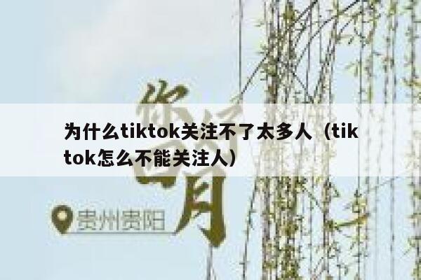 为什么tiktok关注不了太多人（tiktok怎么不能关注人） 第1张