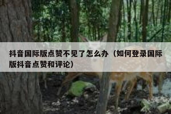 抖音国际版点赞不见了怎么办(如何登录国际版抖音点赞和评论) 第1张 抖音国际版点赞不见了怎么办(如何登录国际版抖音点赞和评论) 第1张