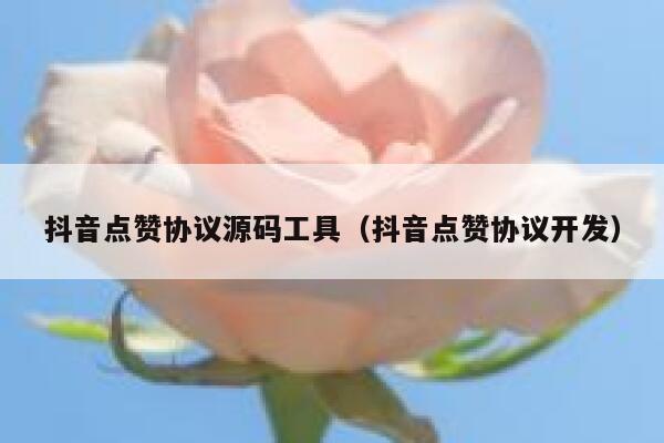 抖音点赞协议源码工具（抖音点赞协议开发） 第1张