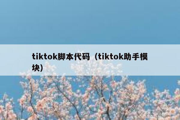 tiktok脚本代码（tiktok助手模块） 第1张