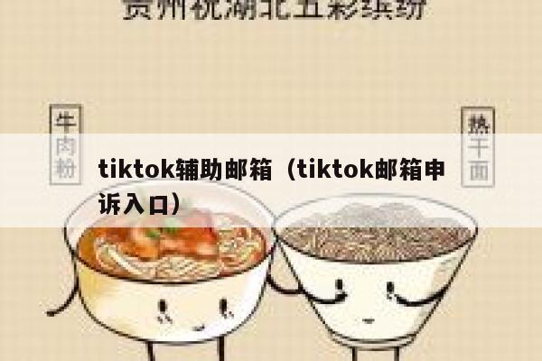 tiktok辅助邮箱（tiktok邮箱申诉入口） 第1张