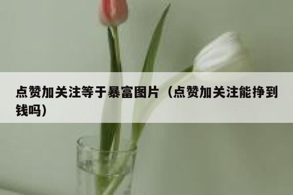 点赞加关注等于暴富图片（点赞加关注能挣到钱吗） 第1张