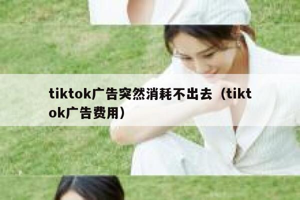 tiktok广告突然消耗不出去（tiktok广告费用） 第1张
