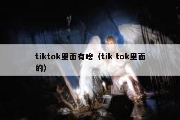 tiktok里面有啥（tik tok里面的） 第1张