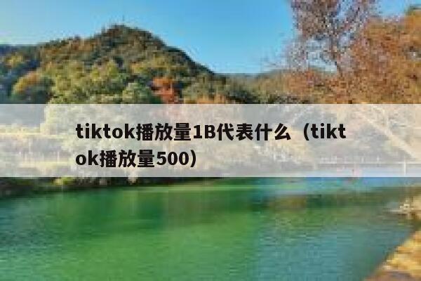 tiktok播放量1B代表什么（tiktok播放量500） 第1张