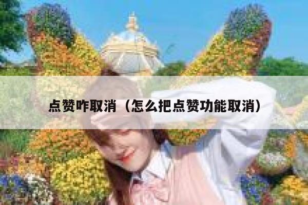 点赞咋取消(怎么把点赞功能取消) 第1张 点赞咋取消(怎么把点赞功能取消) 第1张