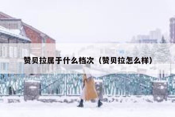 赞贝拉属于什么档次（赞贝拉怎么样） 第1张