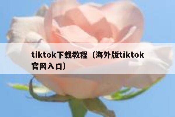 tiktok下载教程（海外版tiktok官网入口） 第1张