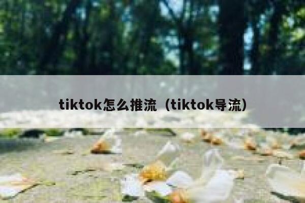 tiktok怎么推流(tiktok导流) 第1张 tiktok怎么推流(tiktok导流) 第1张