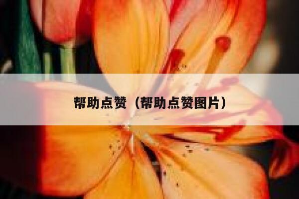 帮助点赞（帮助点赞图片） 第1张