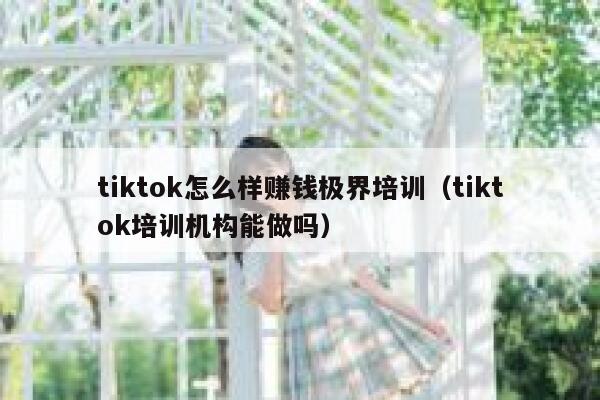 tiktok怎么样赚钱极界培训（tiktok培训机构能做吗） 第1张