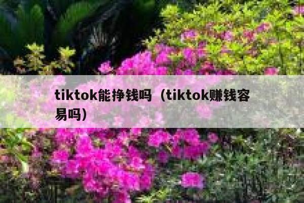 tiktok能挣钱吗（tiktok赚钱容易吗） 第1张