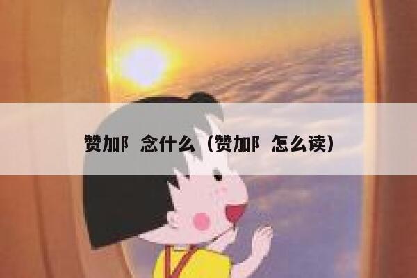 赞加阝念什么(赞加阝怎么读) 第1张 赞加阝念什么(赞加阝怎么读) 第1张