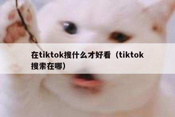 在tiktok搜什么才好看(tiktok搜索在哪) 第1张 在tiktok搜什么才好看(tiktok搜索在哪) 第1张