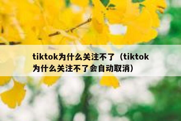 tiktok为什么关注不了(tiktok为什么关注不了会自动取消) 第1张 tiktok为什么关注不了(tiktok为什么关注不了会自动取消) 第1张