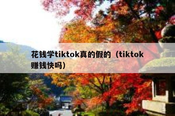花钱学tiktok真的假的(tiktok赚钱快吗) 第1张 花钱学tiktok真的假的(tiktok赚钱快吗) 第1张