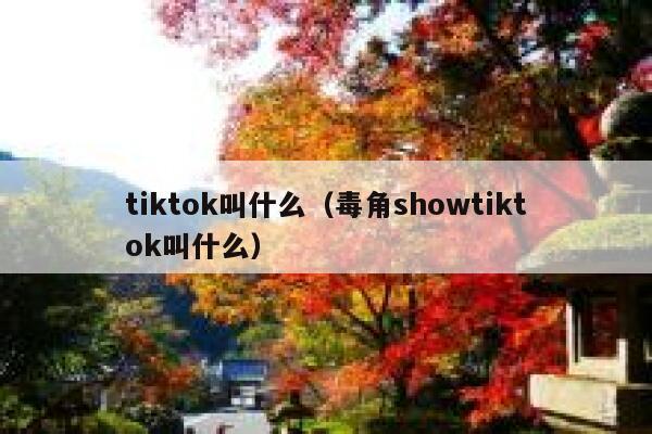 tiktok叫什么(毒角showtiktok叫什么) 第1张 tiktok叫什么(毒角showtiktok叫什么) 第1张