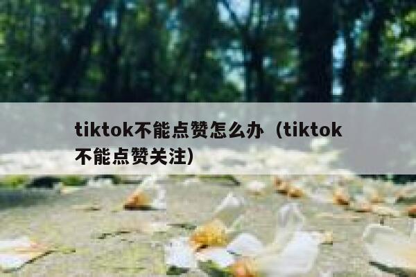 tiktok不能点赞怎么办(tiktok不能点赞关注) 第1张 tiktok不能点赞怎么办(tiktok不能点赞关注) 第1张