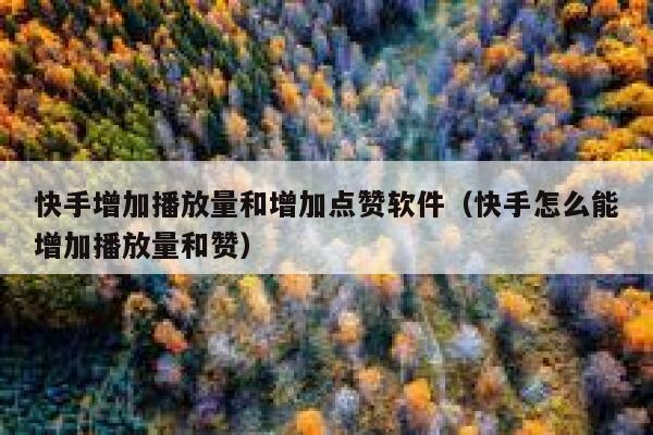 快手增加播放量和增加点赞软件(快手怎么能增加播放量和赞) 第1张 快手增加播放量和增加点赞软件(快手怎么能增加播放量和赞) 第1张