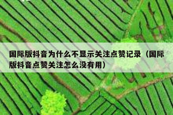国际版抖音为什么不显示关注点赞记录（国际版抖音点赞关注怎么没有用） 第1张